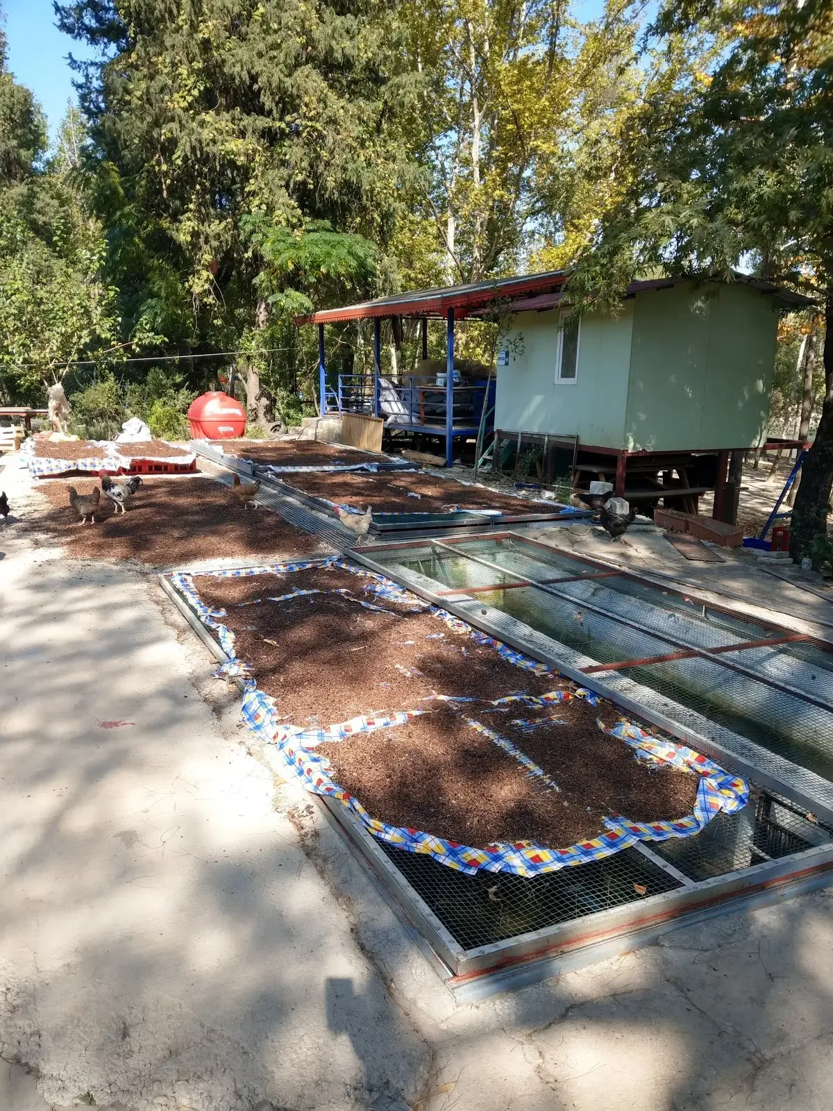 Antalya Macerası Camping Rafting görsel 5